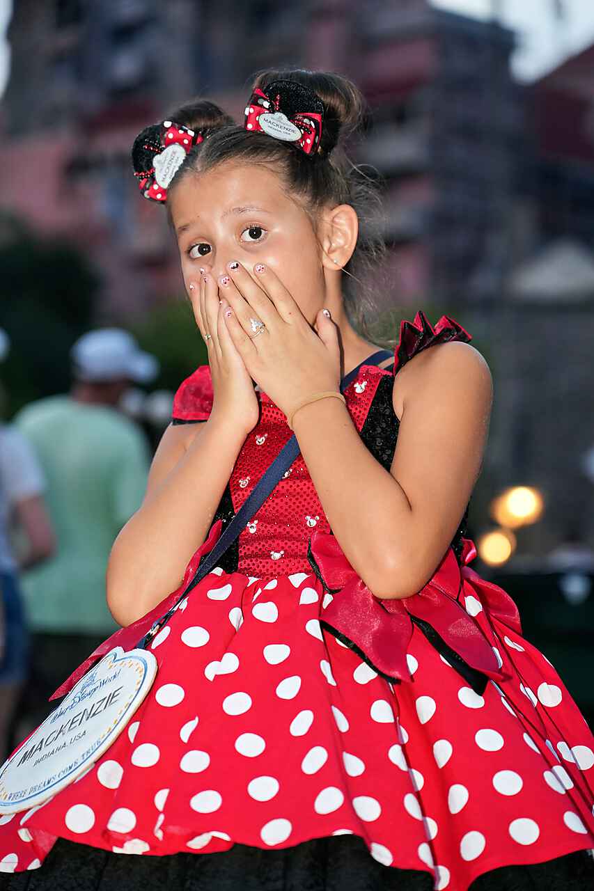 Custom Minnie Ears